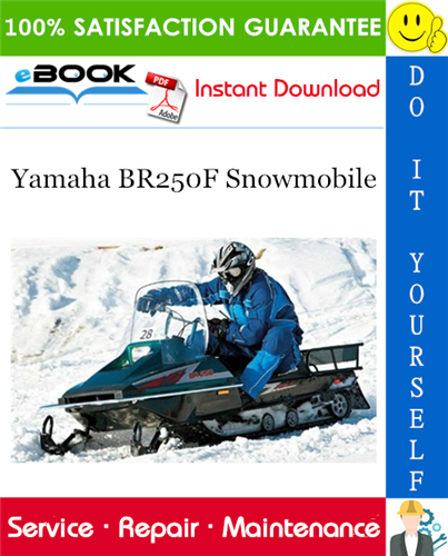 Yamaha BR250F Snowmobile Service Repair Manual
