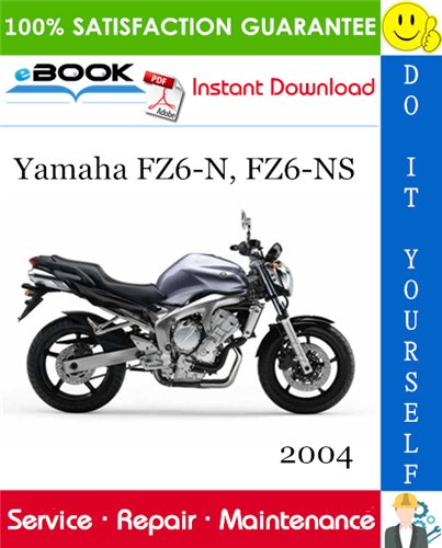 2004 Yamaha FZ6-N, FZ6-NS Motorcycle Supplementary Service Manual