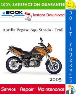 2005 Aprilia Pegaso 650 Strada - Trail Motorcycle Service Repair Manual
