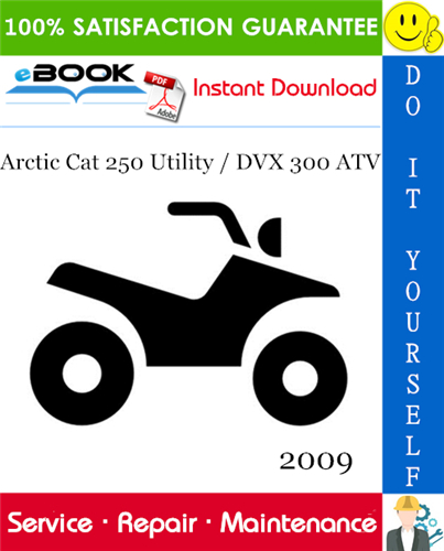 2009 Arctic Cat 250 Utility / DVX 300 ATV Service Repair Manual