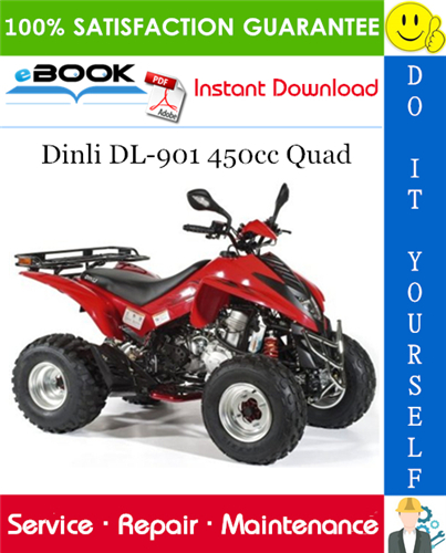 Dinli DL-901 450cc Quad ATV Service Repair Manual
