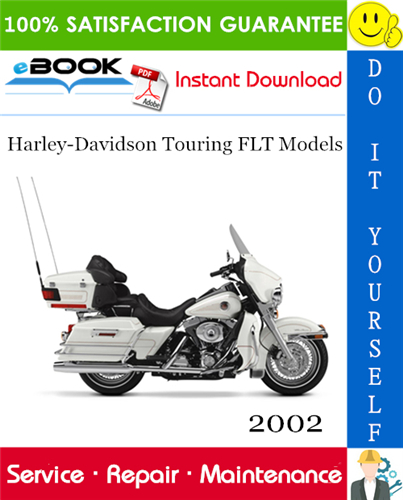 2002 Harley-Davidson Touring FLT Models (FLHT, FLHC, FLHU, FLHR, FLHC, FLTR, FLHRSEI) Motorcycle