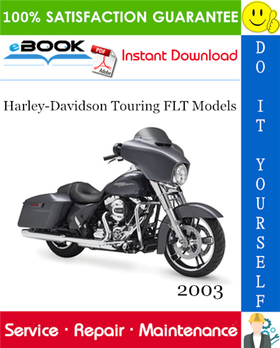 2003 Harley-Davidson Touring FLT Models (FLHT, FLHC, FLHU, FLHR, FLHC, FLTR, FLHP & FLHTP police, FLHRSEI2)