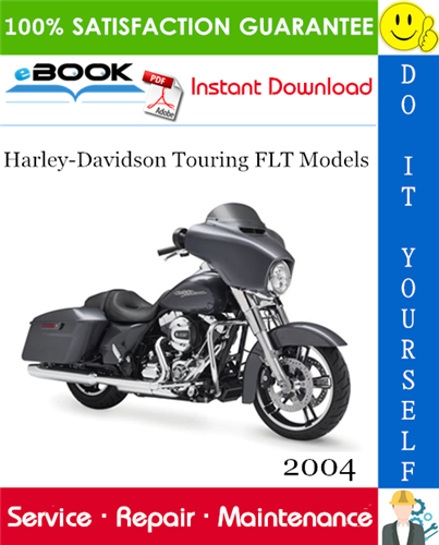 2004 Harley-Davidson Touring FLT Models (FLHT, FLHC, FLHU, FLHR, FLHC, FLHS, FLTR, FLHP & FLHTP police, FLHTCSE)