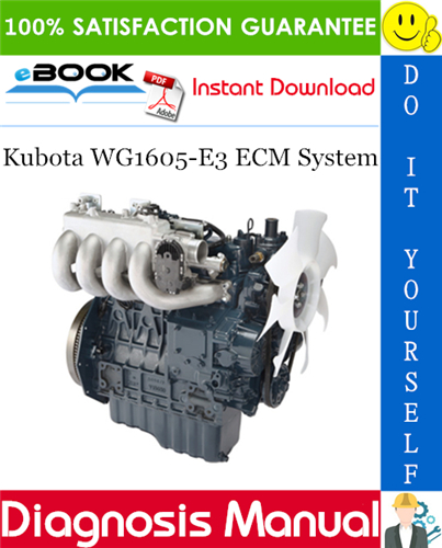 Kubota WG1605-E3 ECM System Diagnosis Manual