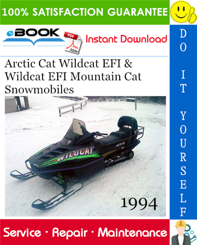 1994 Arctic Cat Wildcat EFI & Wildcat EFI Mountain Cat Snowmobiles Service Repair Manual