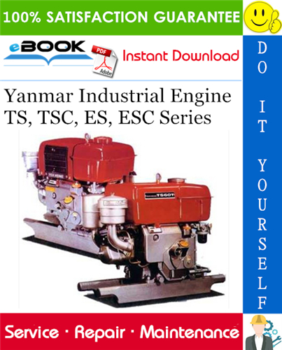 Yanmar Industrial Engine TS, TSC, ES, ESC Series Service Repair Manual