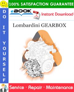 Lombardini GEARBOX Service Repair Manual