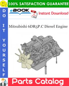Mitsubishi 6DR5P.C Diesel Engine Parts Catalog