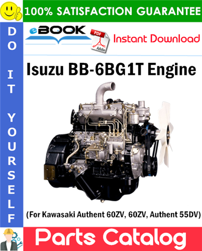 Isuzu BB-6BG1T Engine Parts Catalog