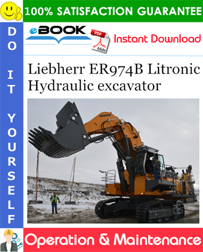 Liebherr ER974B Litronic Hydraulic excavator