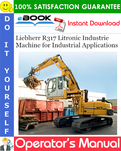 Liebherr R317 Litronic Industrie Machine for Industrial Applications