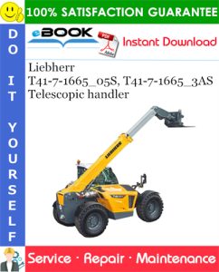 Liebherr T41-7-1665_05S, T41-7-1665_3AS Telescopic handler