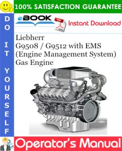 Liebherr G9508 / G9512 with EMS (Engine Management System) Gas Engine