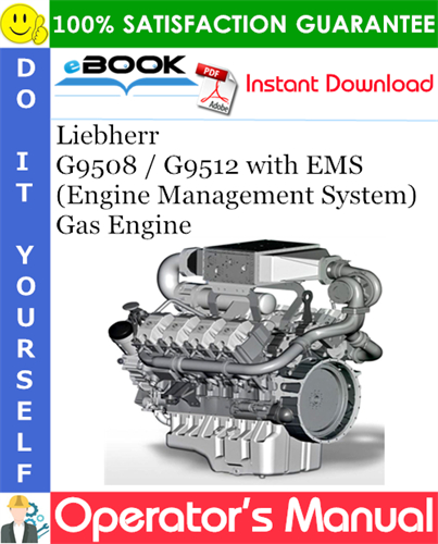 Liebherr G9508 / G9512 with EMS (Engine Management System) Gas Engine