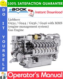 Liebherr G934 / G944 / G936 / G946 with MMS (engine management system) Gas Engine