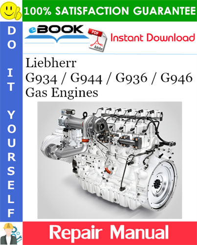 Liebherr G934 / G944 / G936 / G946 Gas Engines Repair Manual
